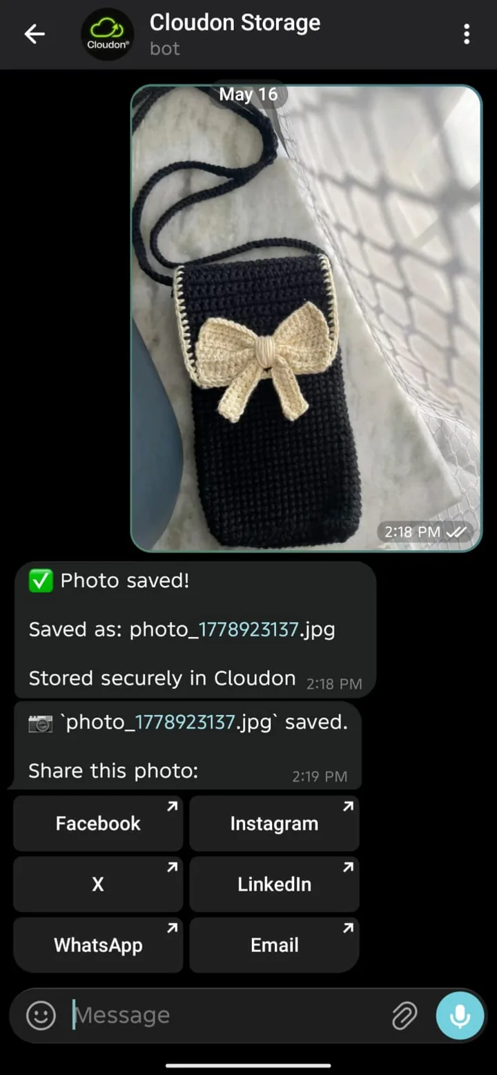 Cloudon Telegram bot reply showing one-tap share buttons after a photo upload.